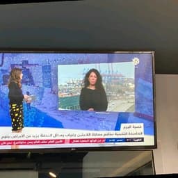 Hiba Abou Haykal