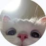 Paul User