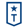 Troops.ai logo