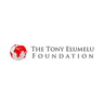 Tony Elumelu Foundation logo