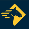 Paladin Security logo