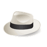 Sinatra logo