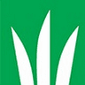 DLF logo