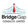 bridgegap consult logo