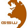 Geo-Spatial Works logo