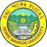Debre Markos University logo