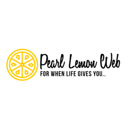 PL Web Development Services