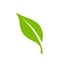 Healthfirst logo