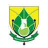 University of Health & Allied Sciences logo