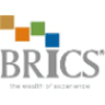 BRICS Securities Pvt. Ltd. logo