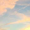 allison lueddecke