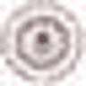 Sardar Patel Institute of Technology logo