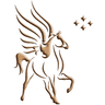 Pegasus Intellectual Capital Solutions logo