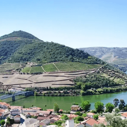 Douro Tours
