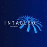 intagleo system logo