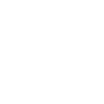 Vistula University logo