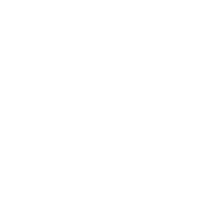 STF Consultancy