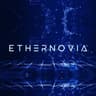 Ethernovia, Inc. logo