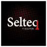 SELTEQ Solutions logo