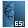 GSI logo