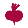 Beetroot Academy logo