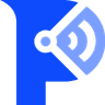 Paladin Cyber logo