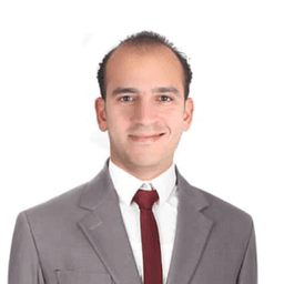 Hesham Bayoumi