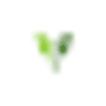 KT Group logo
