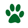 University of Puerto Rico - Mayagüez logo
