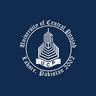 University of Central Punjab logo