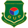 Bangladesh University of Professionals logo