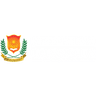 Jaipur National University logo