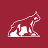 California State University - Chico logo