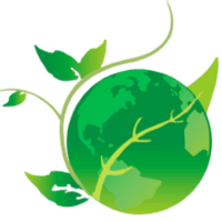 Affordable land scaping services