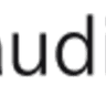 AudioEye logo