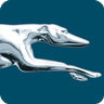 Greyhound Bus Lines logo