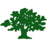 Birzeit University logo