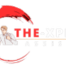 thexpertassist logo
