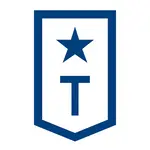 Troops.ai logo